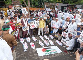 Palestine Protest