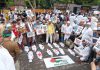 Palestine Protest